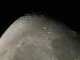 Thumbs/tn_moon 1.jpg